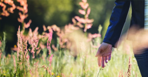 Kurs Atem Bewegung, Meditation
